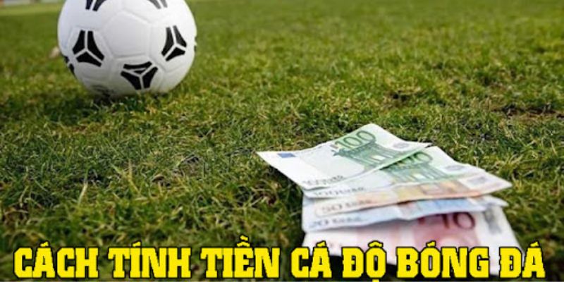 Khái niệm về cá độ bóng đá