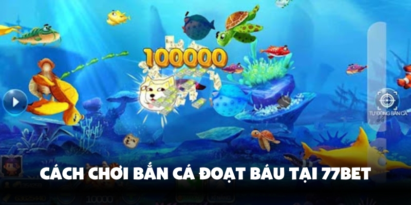 Hướng dẫn từng bước bắn cá
